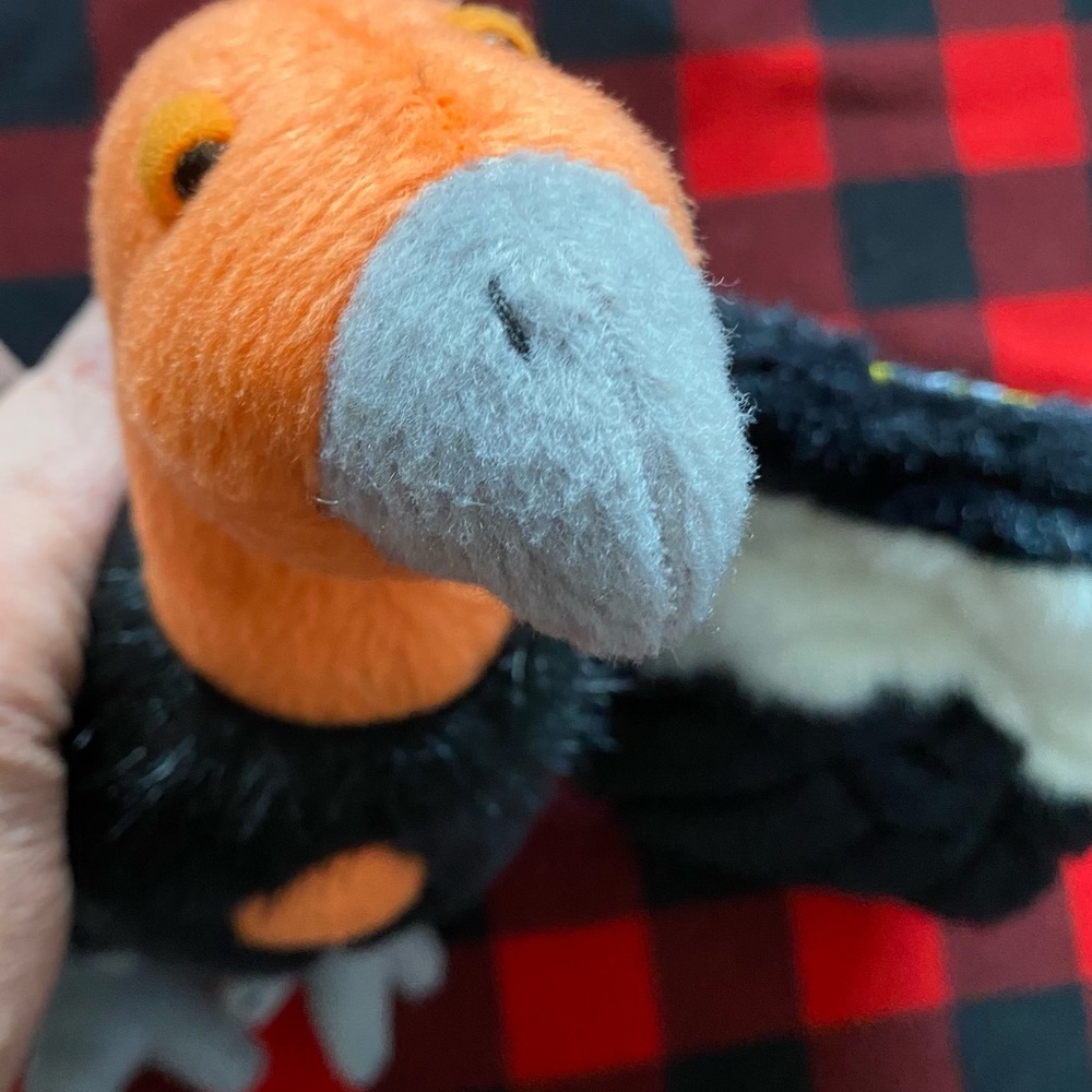 Grand Canyon Condor stuffy - Picture 4 of 7